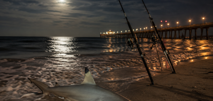 Night Fishing on Galveston Island: Why the Fishing Changes After Dark