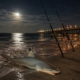 Night Fishing on Galveston Island: Why the Fishing Changes After Dark