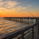 Pier Fishing Galveston